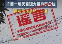 鸟群盘旋是地震前兆?多地辟谣