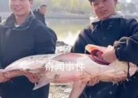 高校内湖捞3000斤鱼直送食堂 湖南一高校请全校吃全鱼宴
