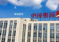 时隔两年多叶飞案正式落幕 有期徒刑三年并处罚金五十万元