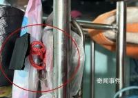 男子入室盗窃将赃款藏进马桶 案件正在进一步侦办中