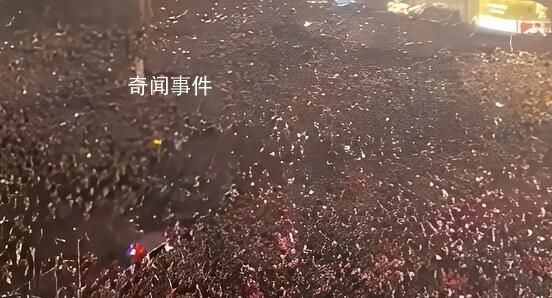 南京新街口人人人人人 一起迎接2024年的到