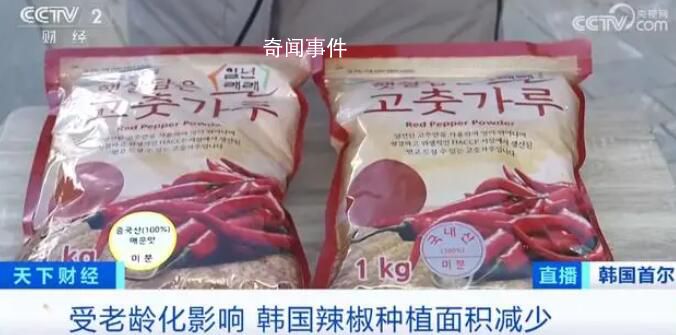 韩国大量进口中国辣椒酱 中国产辣椒酱在韩国卖爆了