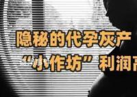暗访广州一代孕灰产机构 利润高达50%