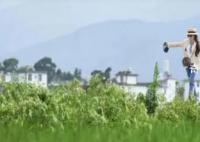 《去有风的地方》获200万元补助