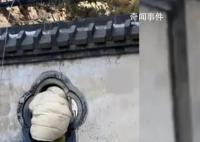 女子拿快递为抄近路每次都钻洞 戏称：你是一点也不往旁边看啊
