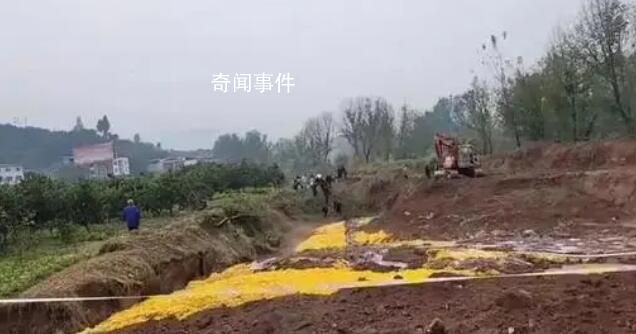 重庆6名村民疑似气体中毒 3人死亡