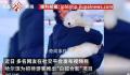 哈尔滨景区回应请白狐迎客:不咬人