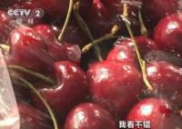 车厘子价格“腰斩” 价格出现明显下降