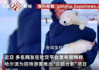 哈尔滨景区回应请白狐迎客:不咬人