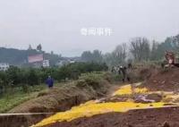 重庆6名村民疑似气体中毒 3人死亡