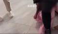女生讨要抚养费被亲戚打流产 案件正在进一步调查处理中