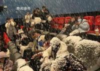 下雪场 尴尬又离谱