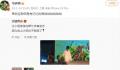 马伊琍说互联网都是有记忆的 这段对话瞬间引发了网友们的关注和热议