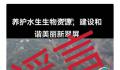 往长江放生鳄雀鳝?宜宾辟谣