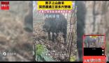 男子上山放羊突遇300斤野猪 人在家中坐猪从天上来”啊