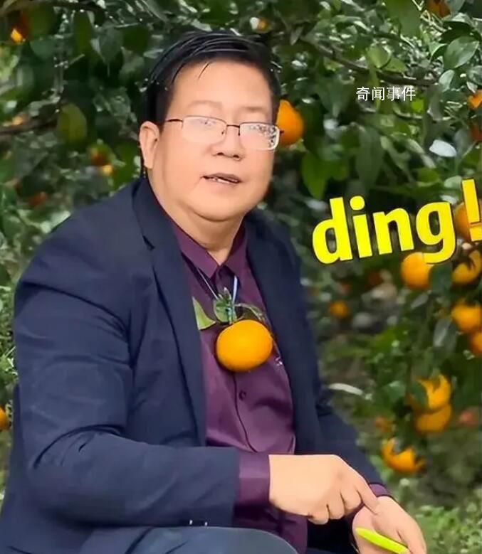 广西武鸣沃柑“橘长”魔性宣传