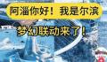 淄博文旅副局长:对比哈尔滨有差距