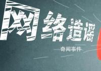 公安查车追车致车辆撞人?