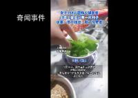 168元火锅套餐生菜只有1片叶子 感觉坑人