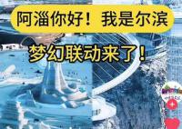 淄博文旅副局长:对比哈尔滨有差距