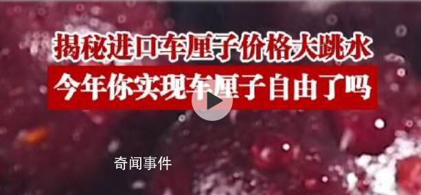 揭秘进口车厘子为何大跳水 今年终于能实现车厘子自由了