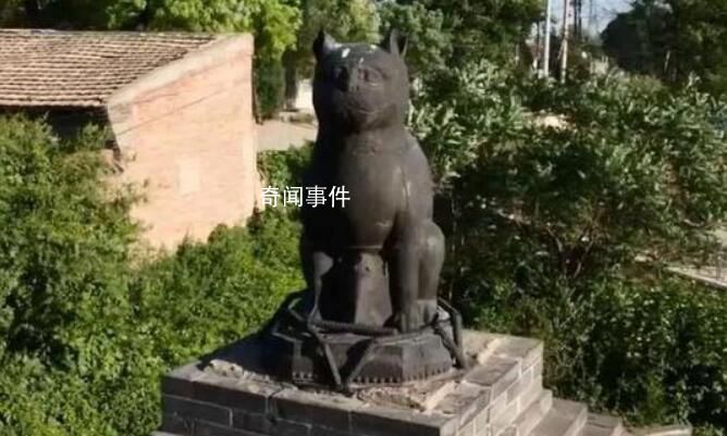 山西铁猫寺被称为“猫猫教总部”