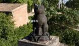 山西铁猫寺被称为“猫猫教总部”