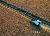 为什么年轻人不愿意种地?官方调研