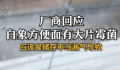 厂商回应白象方便面有大片霉菌 引发了公众对食品安全问题的热烈讨论与深度关切