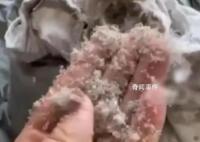 女子称波司登羽绒服剪开全是碎末 此事在网上引发热议