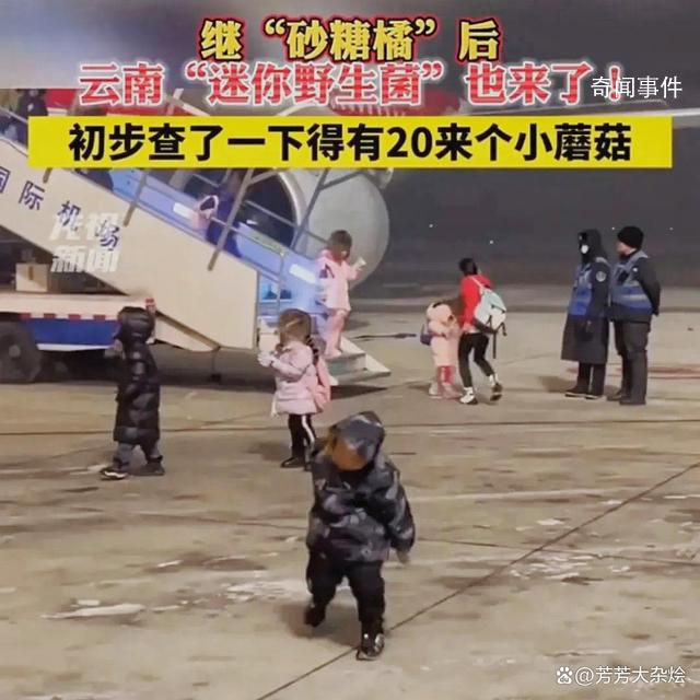 云南小蘑菇开始玩雪了 感受冰雪带来的速度与激情
