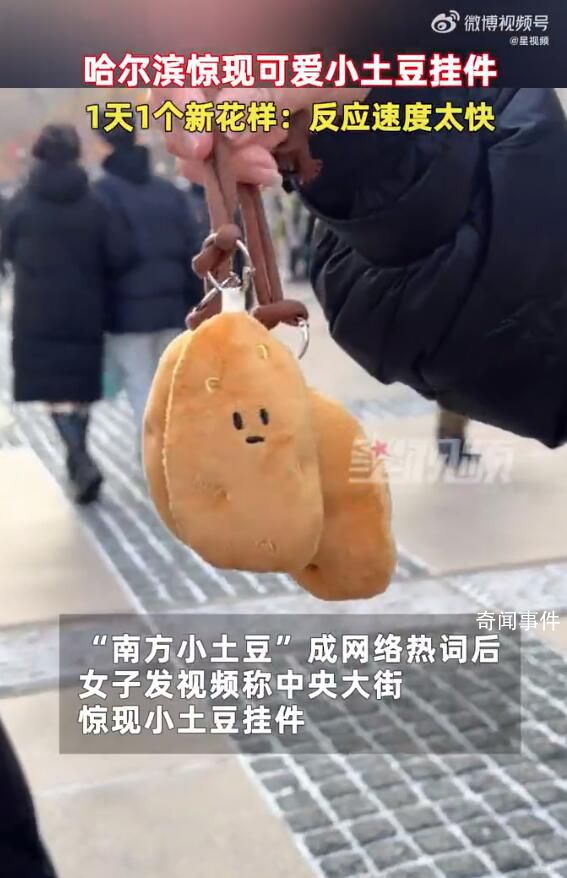 哈尔滨惊现小土豆挂件 网友：尔滨就是牛