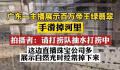 主播展示百万帝王绿翡翠手滑掉河里
