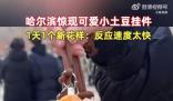 哈尔滨惊现小土豆挂件 网友：尔滨就是牛
