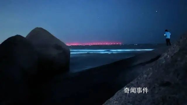 珠海一沙滩出现蓝眼泪奇观 宛如一条流动的蓝色星河