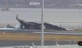 日本撞机事故最新画面:机身烧成渣