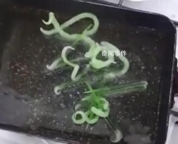 韩国吃炸牙签视频爆红 淀粉牙签并非食品无法保证安全