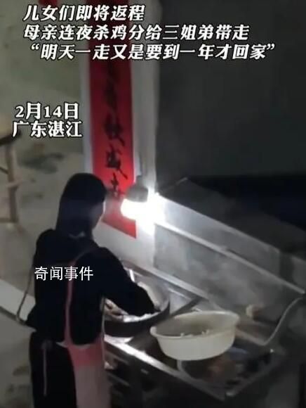 妈妈连夜斩十只鸡分给离乡儿女 分给三姐弟带走