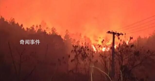 贵州山火五日:“无声”的万人救援