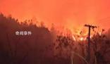 贵州山火五日:“无声”的万人救援