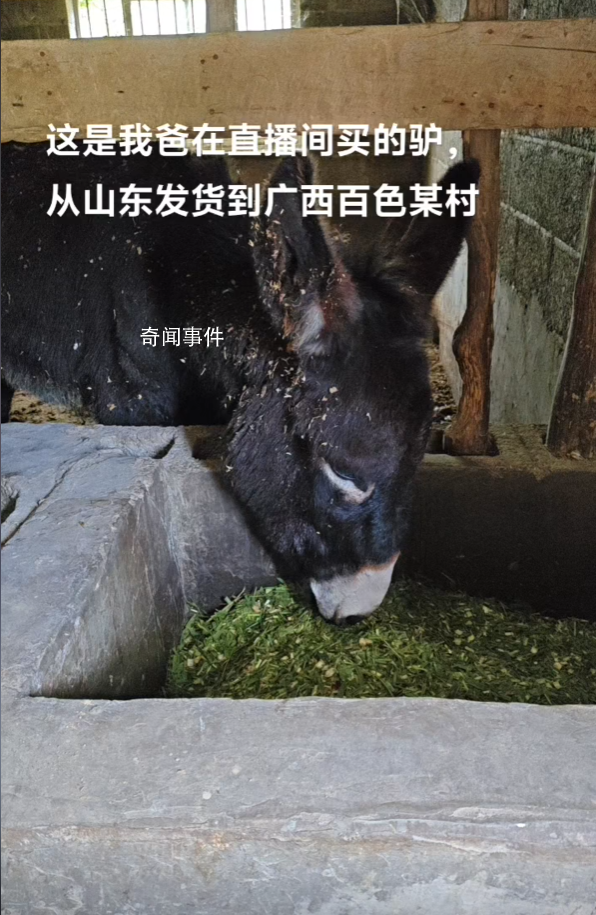 大哥回应直播间卖活驴:卖了上千头