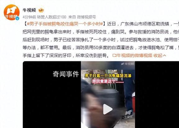 男子手指被鳄龟咬住痛哭一个多小时 引起了广泛的关注和讨论