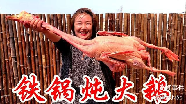 铁锅炖大鹅被带火 大鹅:我有点想法