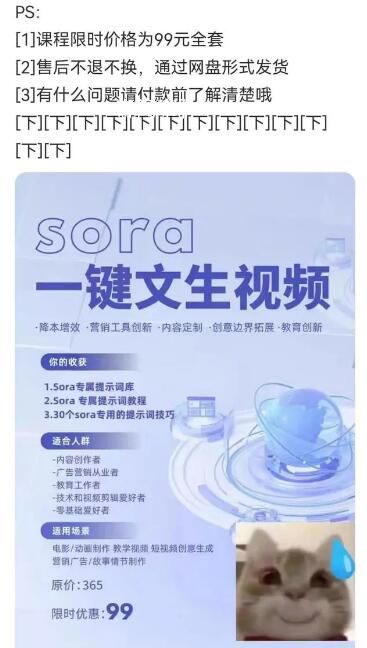 第一拨靠Sora赚钱的人已经出现