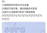 第一拨靠Sora赚钱的人已经出现