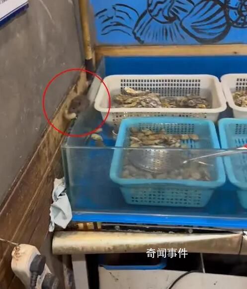 男子在饭店吃烧烤 看见老鼠叼着海鲜