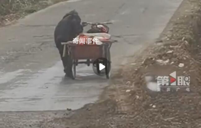 男孩雨中帮老奶奶推三轮车上坡 家长：孩子主动要求帮忙