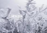好消息:回暖了 坏消息:回南天来了