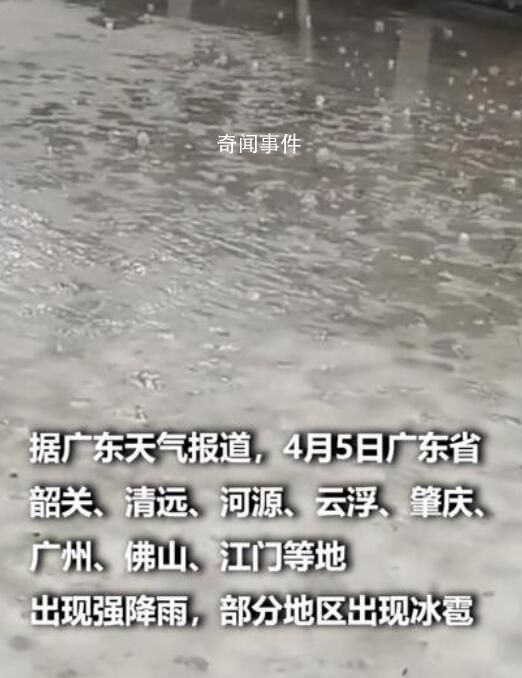 广东多地突降暴雨冰雹密集砸地