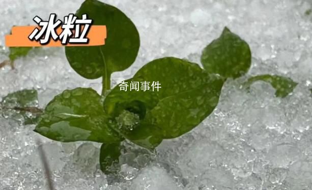 湖北已出现冰粒等七种降水形态 湖北降水相态类型复杂